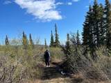 NHN Stampede Road - Photo 2