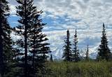 NHN Stampede Road - Photo 4