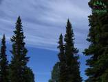 126.5 mile Steese Highway - Photo 29