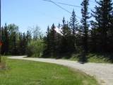 1407 Grizzly Lane - Photo 5