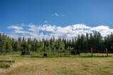 2249 Dickson Road - Photo 7