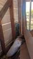 999 Maura Street - Photo 17