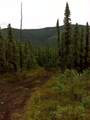 NHN Two Rivers Road - Photo 10