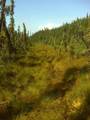 NHN Two Rivers Road - Photo 13