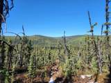 NHN Two Rivers Road - Photo 2