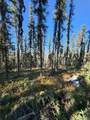 NHN Two Rivers Road - Photo 5