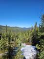 NHN Two Rivers Road - Photo 6