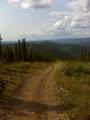 NHN Two Rivers Road - Photo 7