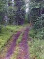 NHN Two Rivers Road - Photo 8