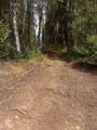 NHN Two Rivers Road - Photo 9