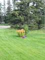 1407 Grizzly Lane - Photo 47