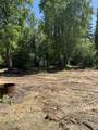 10274 Peregrine Ridge Road - Photo 14