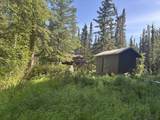 NHN Healy Lake - Photo 41