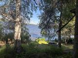 NHN Healy Lake - Photo 45