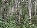 NHN Mile 276.5 Parks Hwy - Photo 1