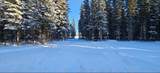 5565 Cottonwood Street - Photo 26