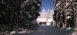 5565 Cottonwood Street - Photo 27