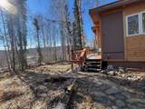 1011 Old Chatanika Trail - Photo 15