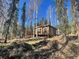 1011 Old Chatanika Trail - Photo 24