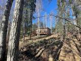 1011 Old Chatanika Trail - Photo 25