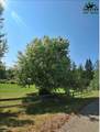 152 MILE Elliott Highway - Photo 17