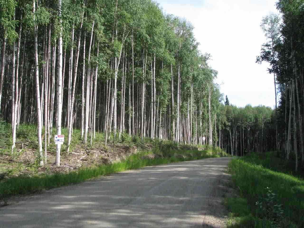 Lot 13 Polkadot Drive - Photo 1