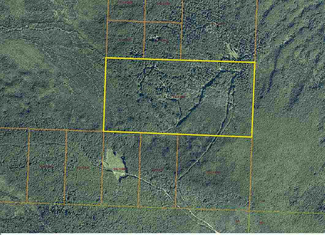 NHN Standard Creek Road - Photo 1