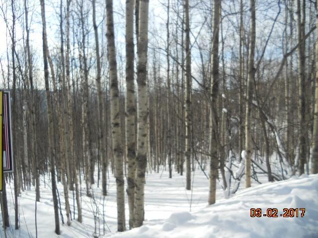 207 Eagle Ridge Road - Photo 1