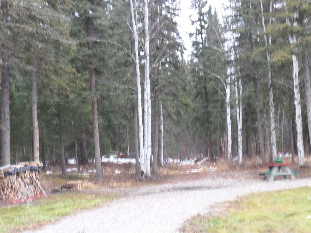 NHN Rosie Creek Road - Photo 1