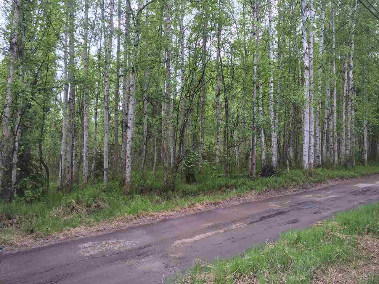NHN Carl Crosman Way - Photo 1