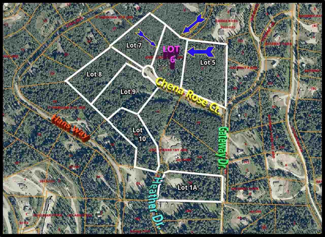 Lot6 Chena Rose Court - Photo 1