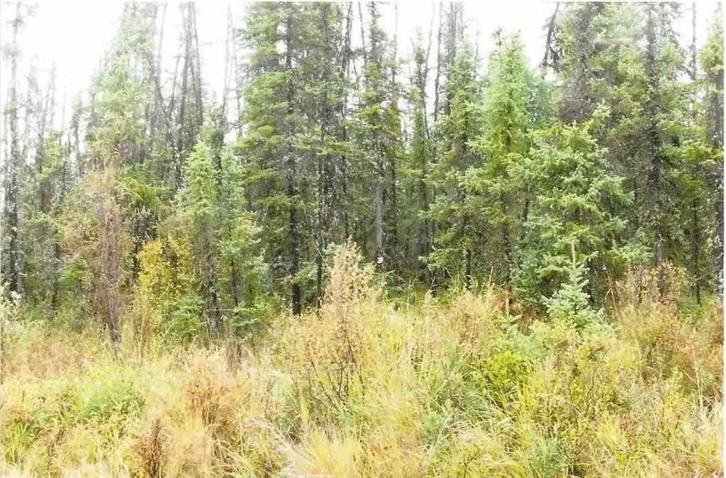 nhn Clear Creek - Photo 1
