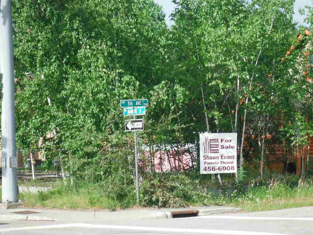 NHN Barnette Street - Photo 1