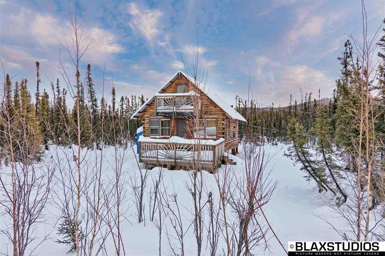 11333 Salcha Drive - Photo 1