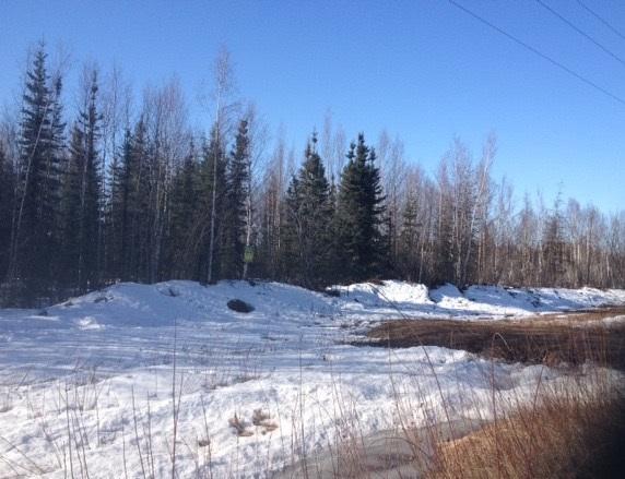 nhn Bradway Road - Photo 1