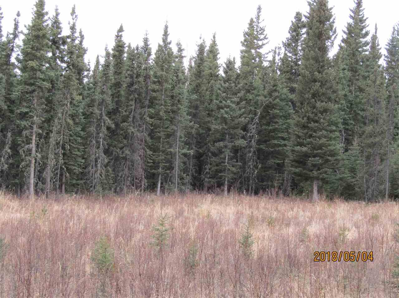 L13-14 B31 Salcha Avenue - Photo 1