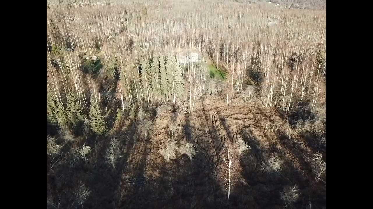 795 Spudwood Road - Photo 1