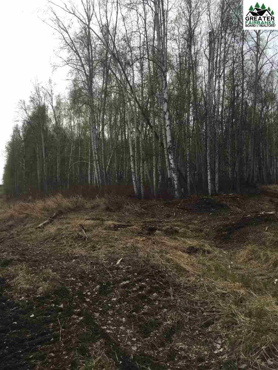 NHN Elliott Highway - Photo 1