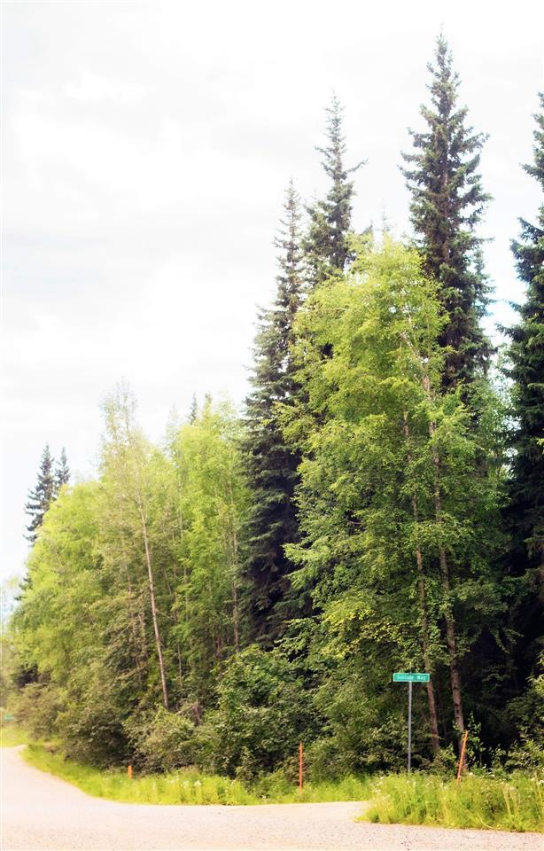NHN Ski Boot Hill Road - Photo 1