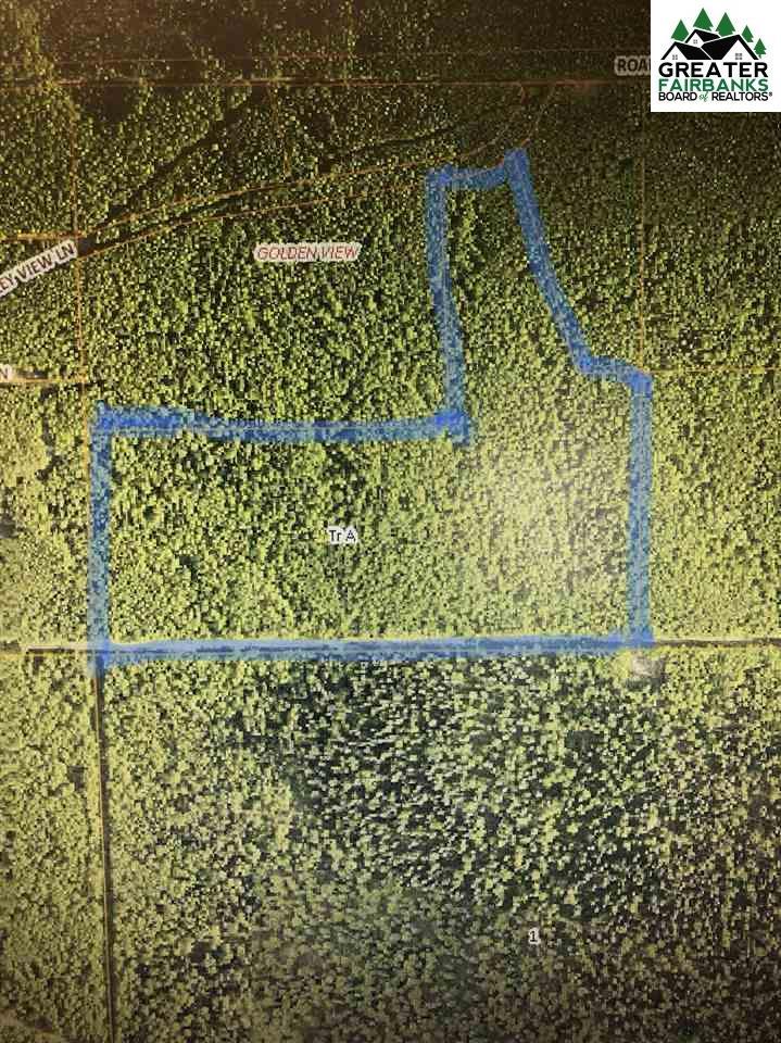 Tract A Chena Valley View Lane - Photo 1