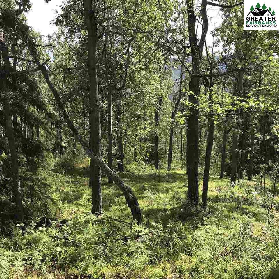 3854 Frenchman Road - Photo 1