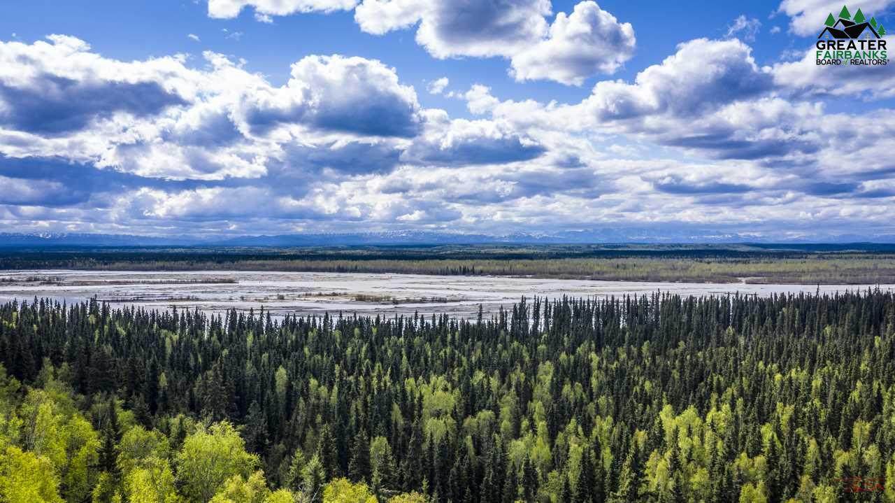 11855 Richardson Highway - Photo 1