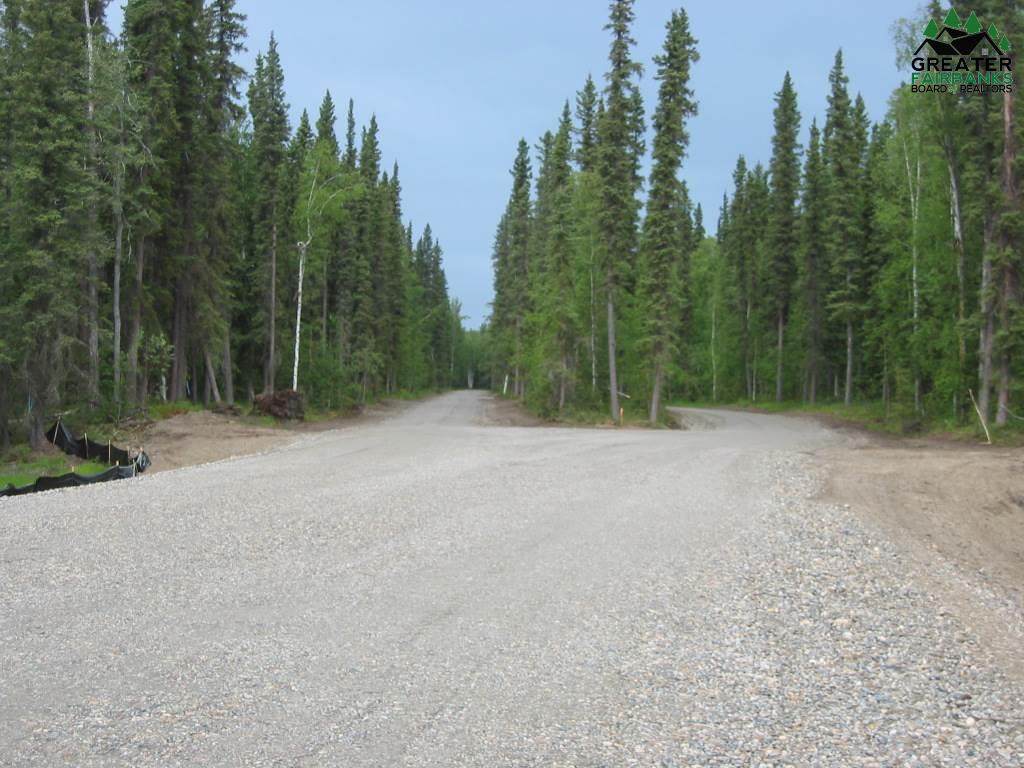 Tract F Blanket Boulevard - Photo 1