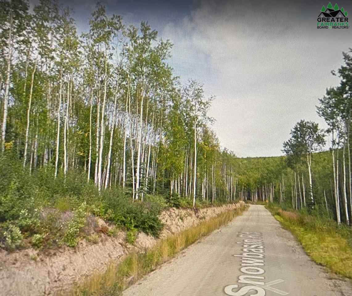 1619 Snowbasin Road - Photo 1