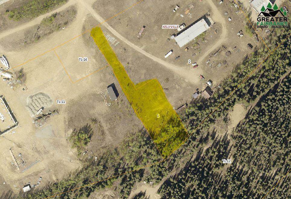 Lot 1 Parks Highway - Photo 1