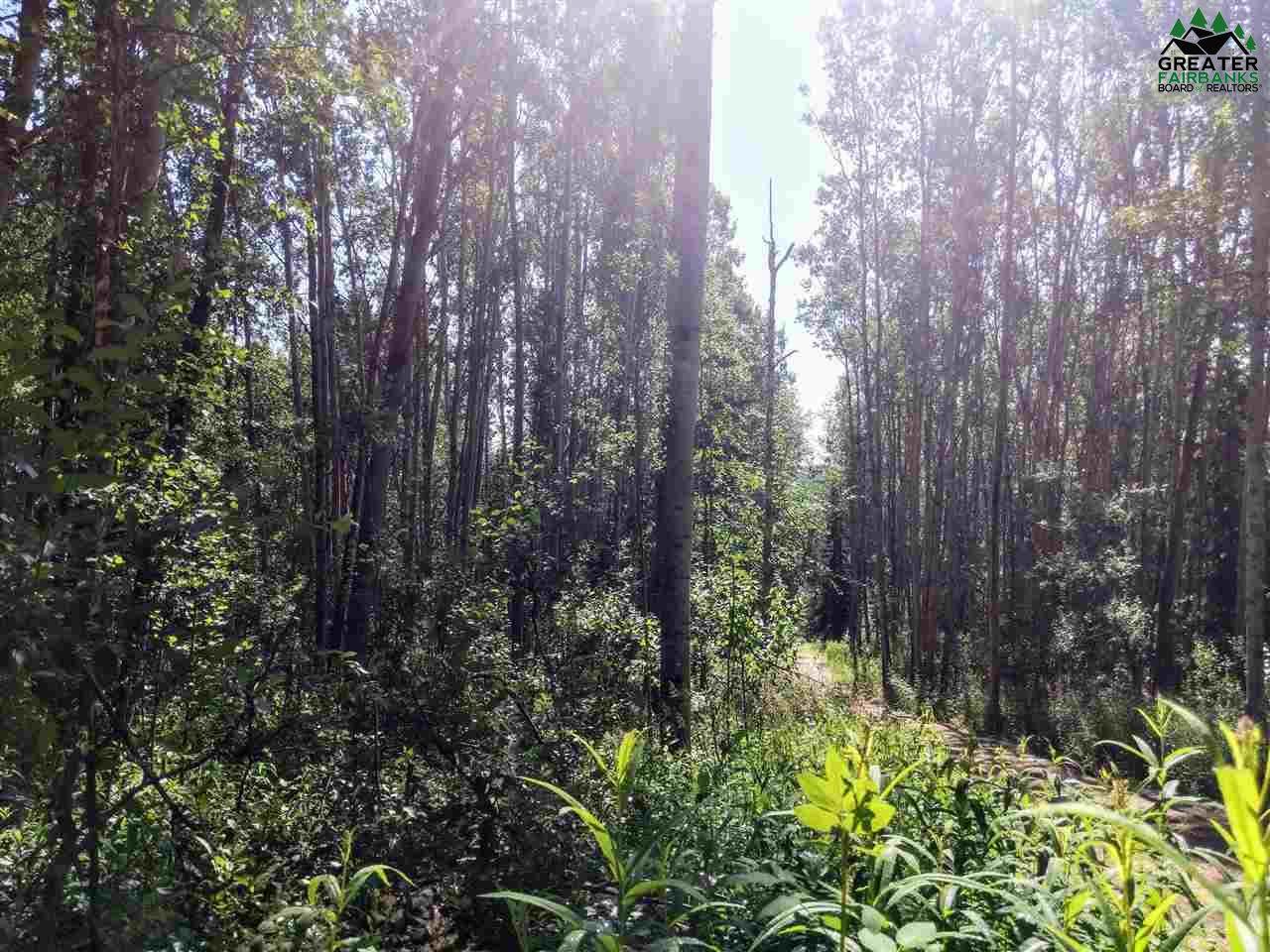 Lot 7 Sawyer Lane - Photo 1