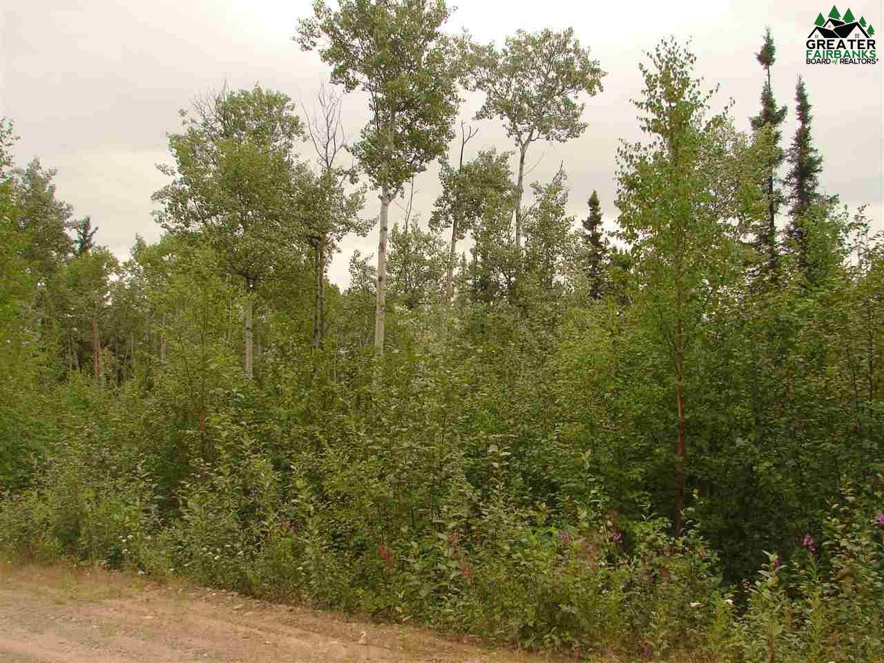 4039 Treasure Street - Photo 1