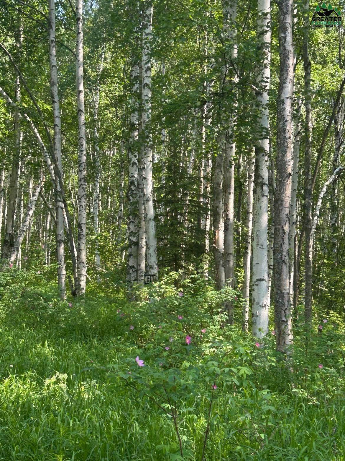 NHN Elliott Highway - Photo 1