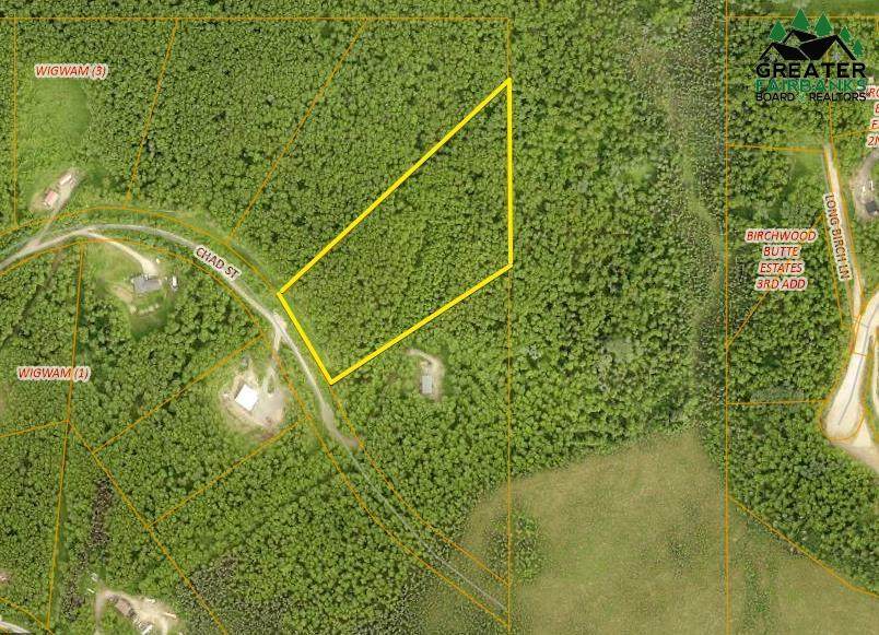 966 Chad Street - Photo 1