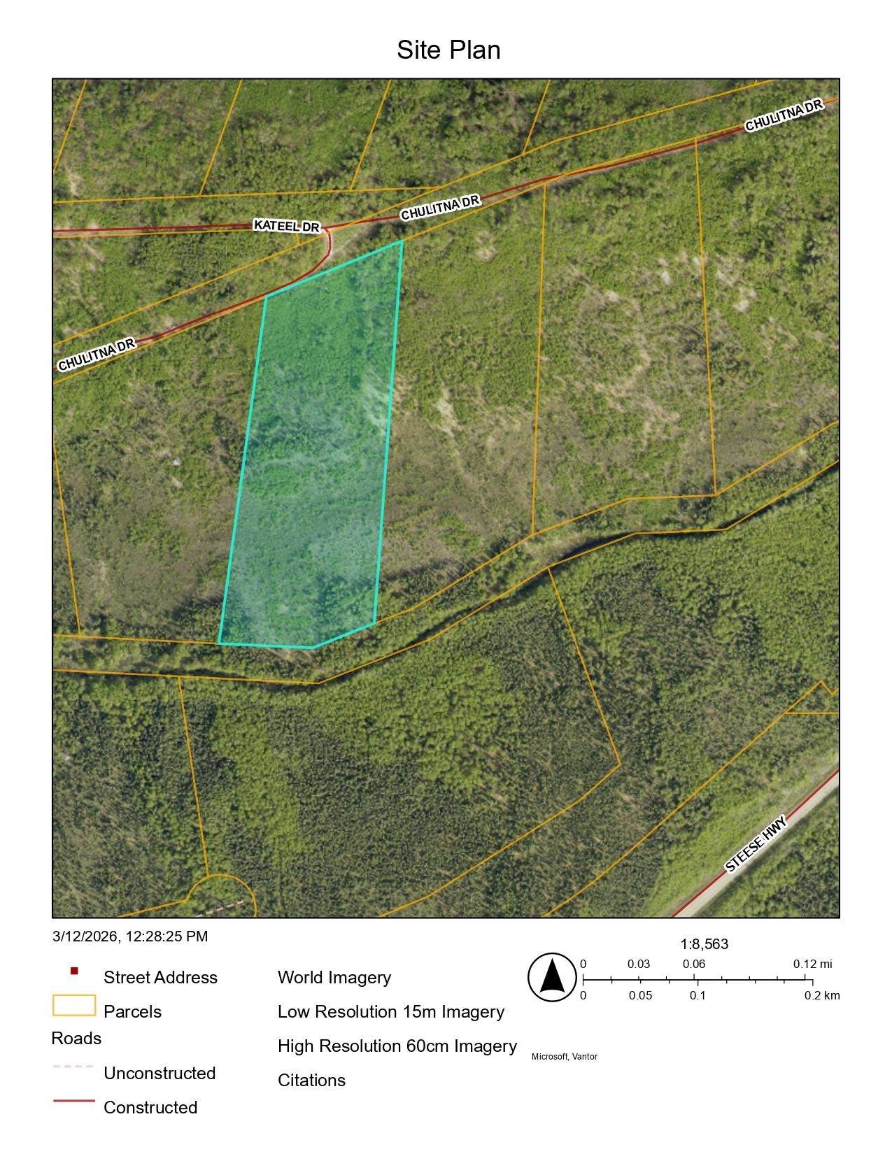 NHN Chulitna Drive - Photo 1